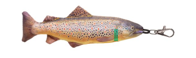 Kľučenka Fil Fishing pstruh